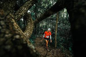 BIB: 
                            <button type="button" onclick="openModal(25708660)" class="btn btn-primary btn-sm float-right btn-popup" data-toggle="modal" data-target=".modal-high-quality">
                        <i class="fas fa-shopping-cart"></i> Add to Cart
                    </button>
                                            <button type="button" onclick="isThisMe(25708660, true)" class="btn btn-success btn-sm float-right btn-popup btn-isme hidden" data-toggle="tooltip" data-placement="bottom" title="นี่คือรูปของคุณใช่ไหม คลิกที่นี่เพื่อเอาเข้าอัลบั้ม">
                        <i class="fas fa-plus"></i> Add to album
                    </button>
                    <button type="button" onclick="isThisMe(25708660, false)" class="btn btn-warning btn-sm float-right btn-popup btn-isnotme hidden">
                        <i class="fas fa-ban"></i> Remove from album
                    </button>